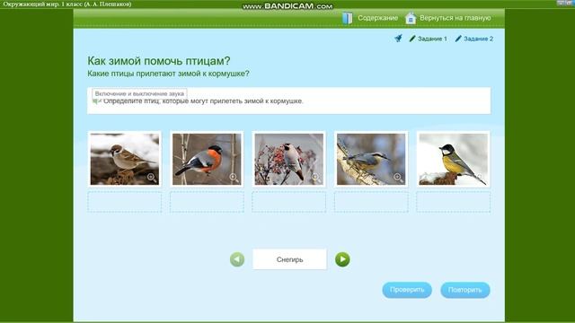 Птицам нужно помогать зимой?! | Окр. мир 1 класс "Как помочь птицам зимой?" смотреть онлайн
