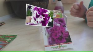 Петуния ПОСЕВ  с Татьяной Пивкиной. ФЕВРАЛЬ