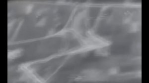 Откровения генерала вермахта | Письма с фронта