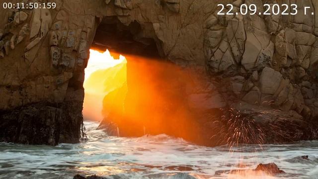 786.1. Племя Моббу 22.09.2023 г смотреть онлайн