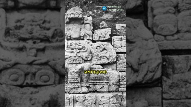 1000-ЛЕТНИЕ АРТЕФАКТЫ МАЙЯ НАЙДЕННЫЕ В ДЖУНГЛЯХ МЕЗОАМЕРИКИ | Уникальные архивные материалы смотреть онлайн