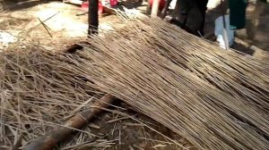 Обработка камыша для кровли крыши