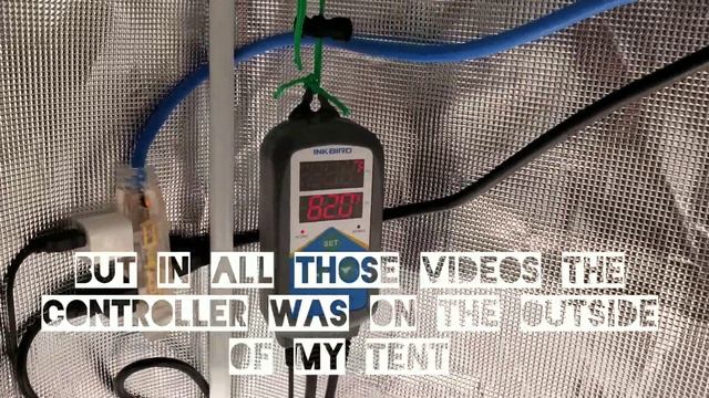 2x4 Grow Tent Mars Hydro SP250 seedlings Day 2 and 3 смотреть онлайн