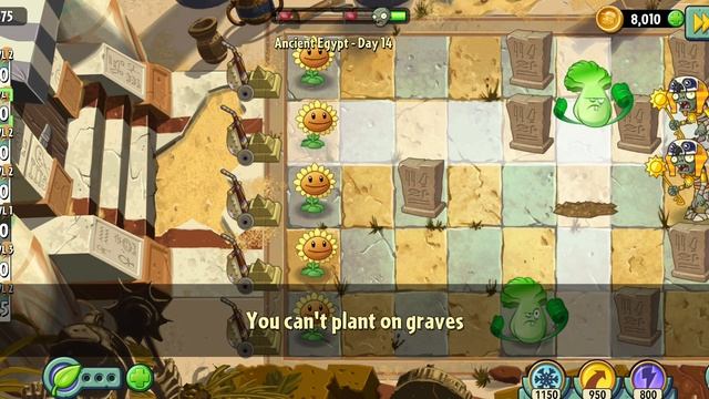 второе видео