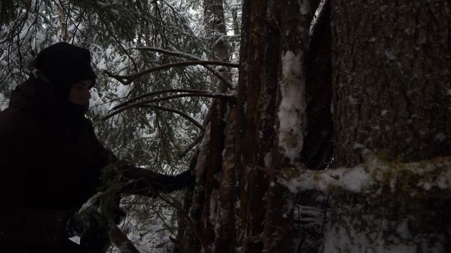 Лес/Отдых/Построил Шалаш/Три Дня в Лесу с Собакой