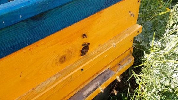 МЕЛОЧЬ НО ВАЖНО