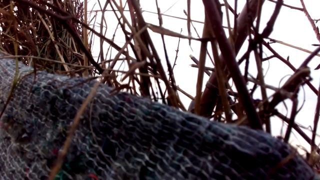 Гуси- 2019 смотреть онлайн