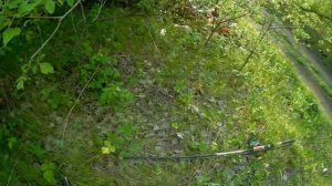 Охота на серую ворону, с псп пневматикой