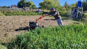 Мотоблок Агат. Уборка картошки мотоблоком Агат. урожай 2024