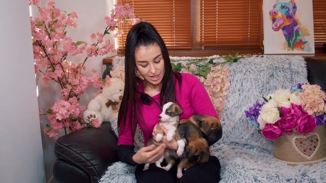 Три маленькі мушкетери Чаккi, Мiшель та С'юзi чекають на свою матусю та татуся ! смотреть онлайн