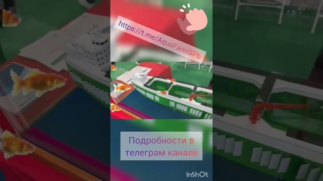 Fish Expo в Китае 2023. Переходите в телеграм, там короткие ролики. https://t.me/AquaFarmSPb смотреть онлайн