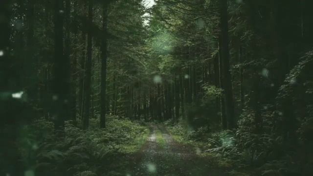 MUSIK RELAKSASI HIPNOTERAPI OTAK, STRES, PAGI HARI, UNTUK TIDUR BAYI