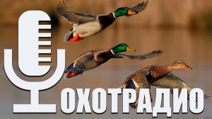 ОТРЫТИЕ УТИНОЙ ОХОТЫ В КРАСНОДАРЕ🔴ОхотРадио