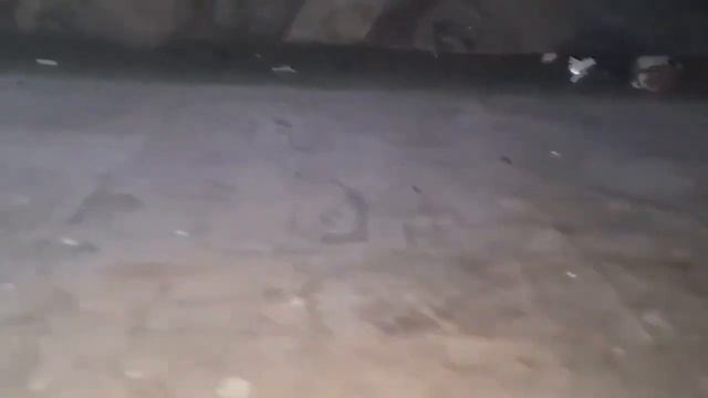 Ужасы нашего городка или как в 21 веке жить в куче Мусора. смотреть онлайн