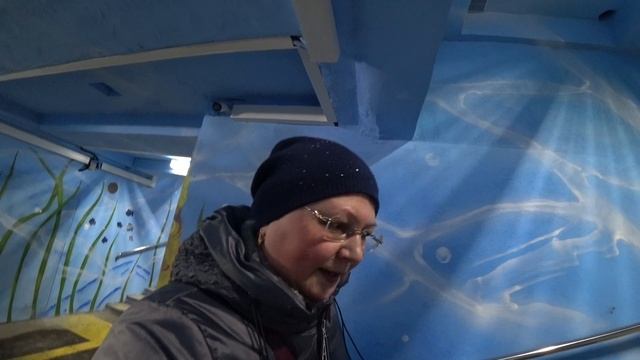 Рыбов показываем! Подземный переход в Рабочем Посёлке. Пермь. 24 дек 2024 смотреть онлайн