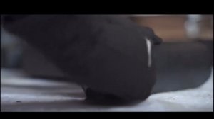 Tanktuning.ru - Установка калитки