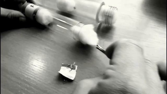 Мои муравьи Lasius niger смотреть онлайн