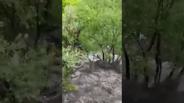 мощный сель сошёл в горах Дагестана смотреть онлайн