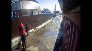 Собаки нападают на детей.  Часть первая (Россия)