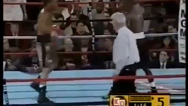 Floyd Mayweather Jr. VS Saul 