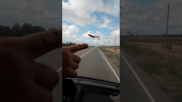 Мисия невыполнима смотреть онлайн