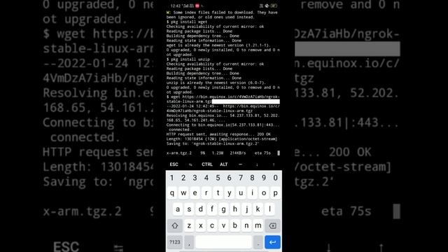 Ngrok-server installation in Termux // Step by Step // Basic HACK tutorials смотреть онлайн