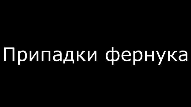 припадки фернука
