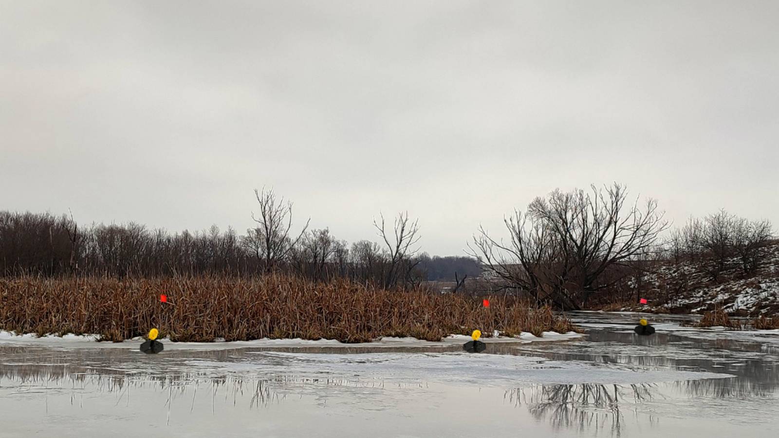 СВЕРШИЛОСЬ!!! Открыли ПЕРВЫЙ ЛЕД! Удачная рыбалка на жерлицы 2024 смотреть онлайн