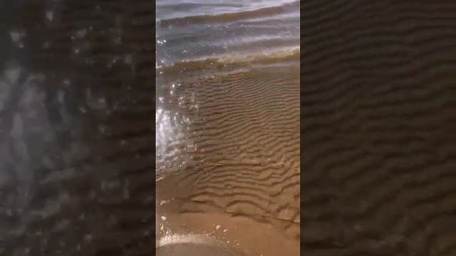 Деревня Городище Вологодская область, берег Рыбинского водохранилища смотреть онлайн