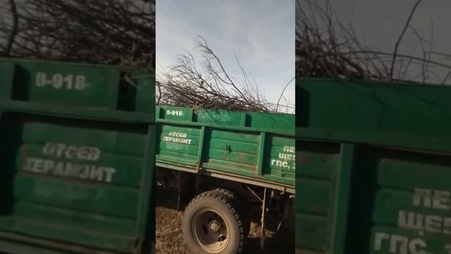 Консенсус изменился смотреть онлайн