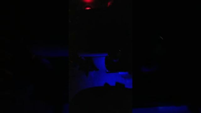 Inside Underglow... 2OOO Honda Crv Build... смотреть онлайн