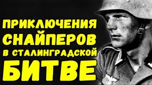 Взяли языка, ликвидировали наблюдательный пункт немцев, попали под обстрел, и остались виноваты