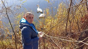 Река КУБАНЬ и ЛЕБЕДИНОЕ озеро. 18.11.24.