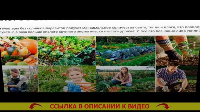 ДЕЙСТВУЮЩЕЕ ВЕЩЕСТВО ГЕРБИЦИДОВ ❗ РАУНДАП ИНСТРУКЦИЯ ПО ПРИМЕНЕНИЮ ДОЗИРОВКА ЦЕНА смотреть онлайн