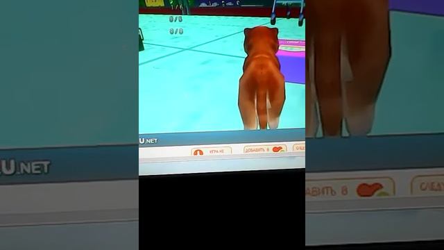 Играю в симулятор собаки 1часть. смотреть онлайн