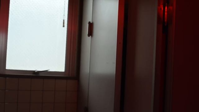 【鬼滅】炭治郎がゾンビに！？無惨様が逃げまくる！ смотреть онлайн