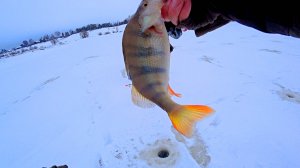 КРУПНЫЙ ОКУНЬ НА БАЛАНСИР ПО ПЕРВОМУ ЛЬДУ. зимняя рыбалка