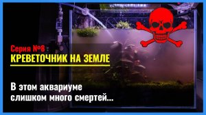 Серия 8. АРМАГЕДДОН в аквариуме или как НЕ НУЖНО вносить прикорневую подкормку для растений