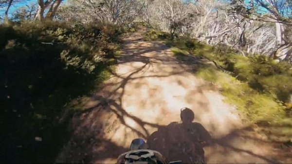 Royal Enfield Himalayan 450 HARD OFF-ROAD TEST! | INFO MOTO