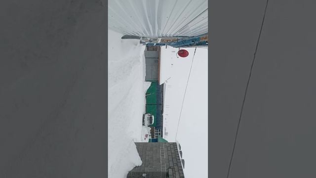 трактор на продаже