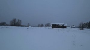 Поездка в Деревню.