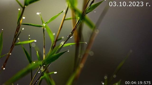 794 Кого благодарить 03.10.2023 г смотреть онлайн