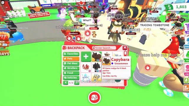 ПРОКАЧКА ИНВЕНТАРЯ ПОДПИСЧИЦЫ  ИСПОЛНИЛ МЕЧТУ В ADOPT ME!