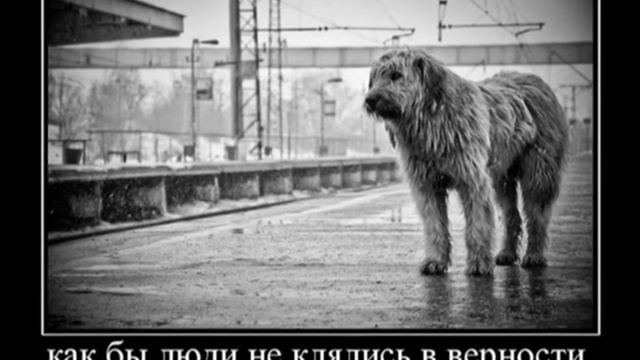 Богдан - Верность смотреть онлайн