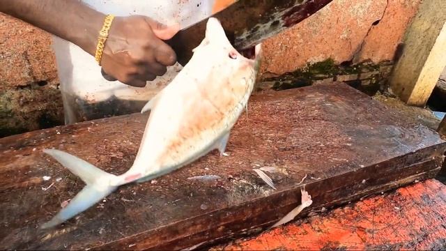 TREVALLY FISH SLICING | FISH CUTTING EXPERT | SRI LANKA смотреть онлайн