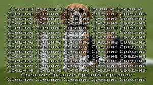 Средние породы собак