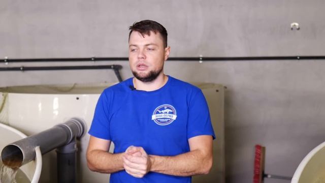 Форель в УЗВ. Проблема нехватки кислорода. Часть 6. Анонс важных мероприятий. смотреть онлайн
