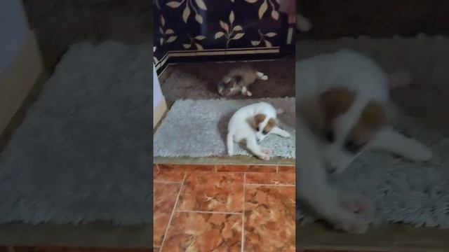 нашли общий язык смотреть онлайн