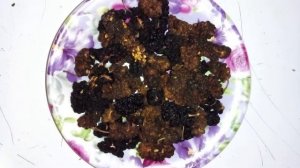 Сушёная шелковица - природные конфеты | Сыроедение