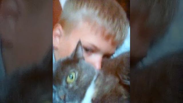 Видео сообщение от TheNekit Live . смотреть онлайн